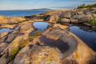 Puddles reflect in the pink granite at Schoodic Point in Acadia National Park-Maine-USA Art Print